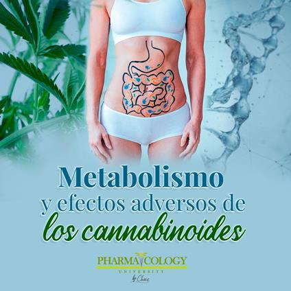 Metabolismo y efectos adversos de los Cannabinoides