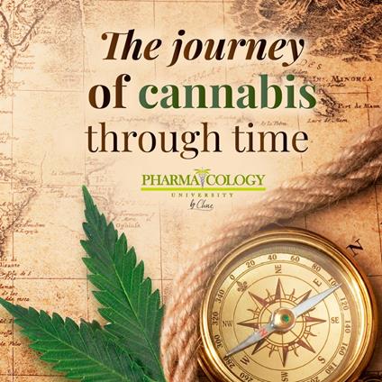 The journey of cannabis through time