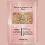 The Hebrew Signs language of Adam Volume III - The Secret Ancient light of the Hebrew Master Key letters