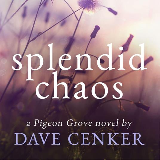 Splendid Chaos