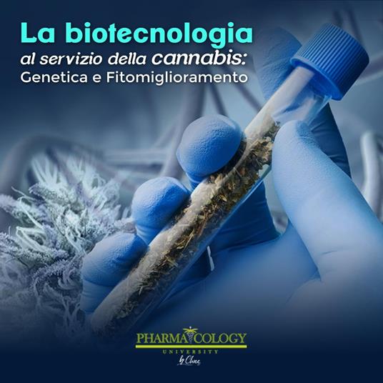 La biotecnologia al servizio della cannabis: genetica e fitomiglioramento