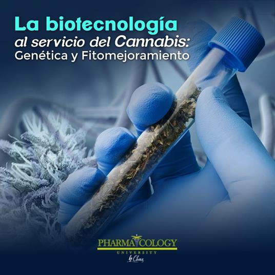La biotecnología al servicio del cannabis: genética y fitomejoramiento