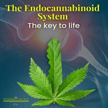 Endocannabinoid system: the key to life