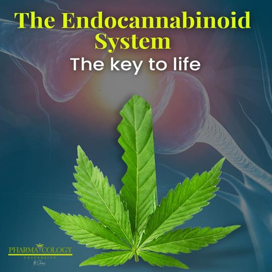 Endocannabinoid system: the key to life