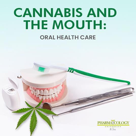 Cannabis and the mouth: oral health care