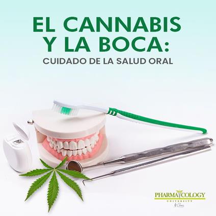 El cannabis y la boca: cuidado de la salud oral