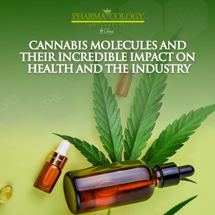 Cannabis molecules and their incredible impact on health and the industry