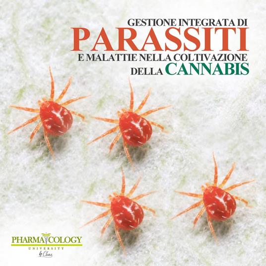 Gestione integrata di parassiti e malattie nella coltivazione della cannabis