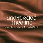 Unexpected Meeting