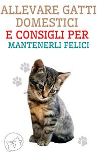 Allevare gatti domestici e consigli per mantenerli felici