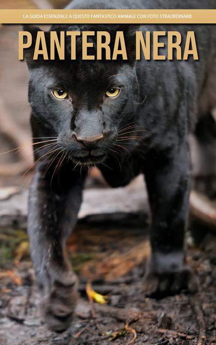 Pantera Nera: la guida essenziale a questo fantastico animale con foto straordinarie - Claudia Santopaolo - ebook