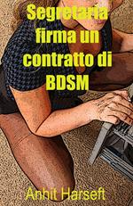 Segretaria firma un contratto di BDSM