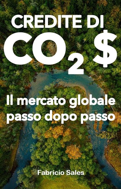 Crediti di carbonio: Il mercato globale passo dopo passo - Fabricio Silva - ebook