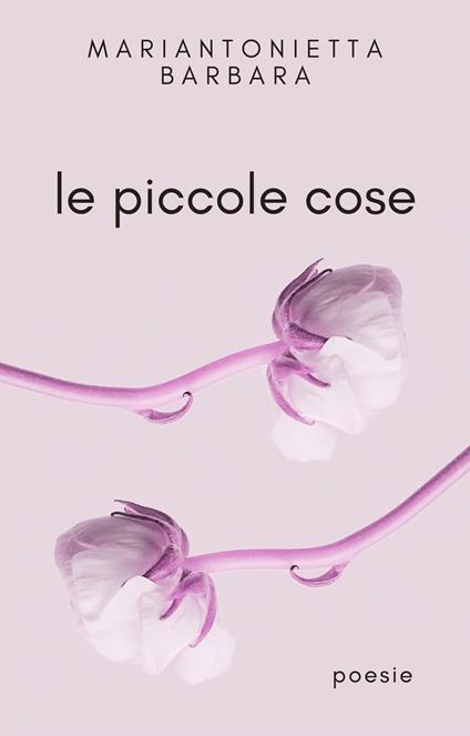 Le piccole cose - Mariantonietta Barbara - ebook