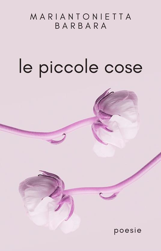 Le piccole cose - Mariantonietta Barbara - ebook
