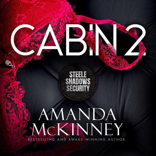 Cabin 2 (Steele Shadows Security)