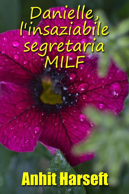 Danielle, l'insaziabile segretaria MILF - Anhit Harseft - ebook