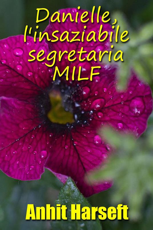 Danielle, l'insaziabile segretaria MILF - Anhit Harseft - ebook