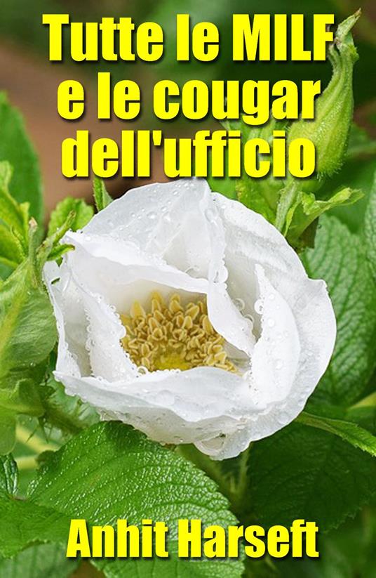 Tutte le MILF e le cougar dell'ufficio - Anhit Harseft - ebook