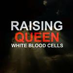 Raising Queen White Blood Cells