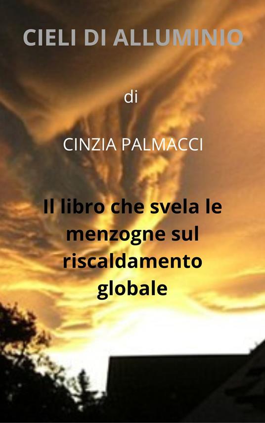 Cieli di alluminio - Cinzia Palmacci - ebook