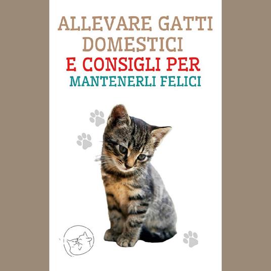 Allevare Gatti Domestici e Consigli per Mantenerli Felici