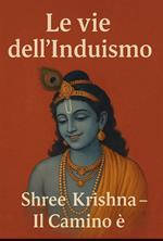 LE VIE DELL'INDUISMO