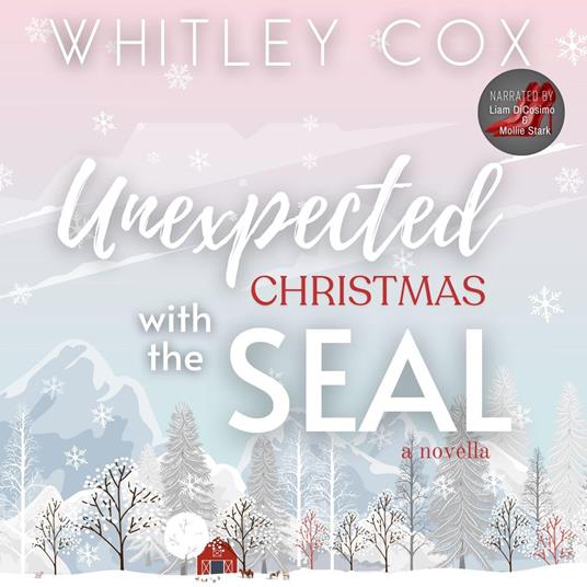 Unexpected Christmas with the SEAL