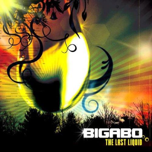 The Last Liquid - CD Audio