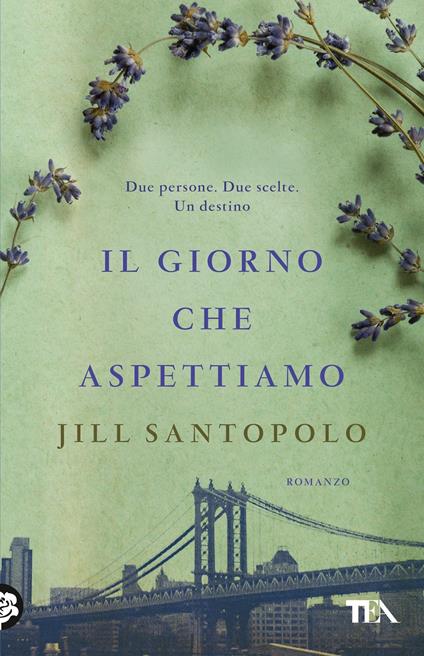 Il giorno che aspettiamo - Jill Santopolo - copertina