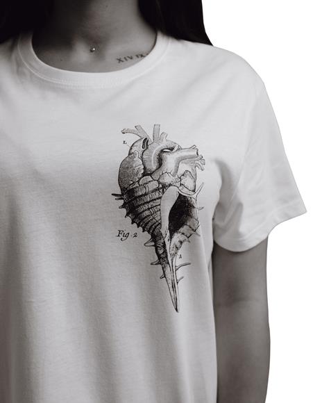 T-Shirt Otto d'Ambra x Feltrinelli -  Cuore Conchiglia / Sea Love - tg. S - 4