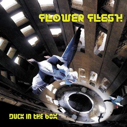 Duck In The Box - CD Audio di Flower Flesh