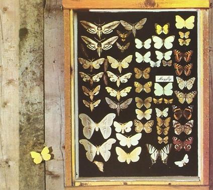 Mayfly - CD Audio di Mayfly