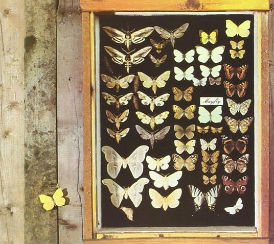 Mayfly - CD Audio di Mayfly