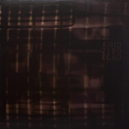 Amid Zero Echo - Vinile 10'' di Thomas Dimuzio