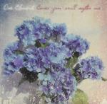 Cover You Will Softer Me