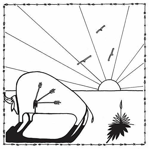 Broken Arrows - Vinile LP di Micah P. Hinson