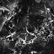 Thurm - Vinile LP di Thurm