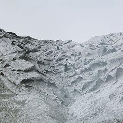 Wild Ferment (Coloured Vinyl) - Vinile LP di Steams