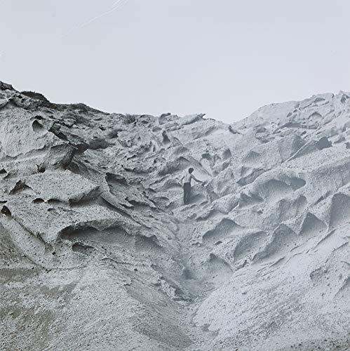 Wild Ferment (Coloured Vinyl) - Vinile LP di Steams