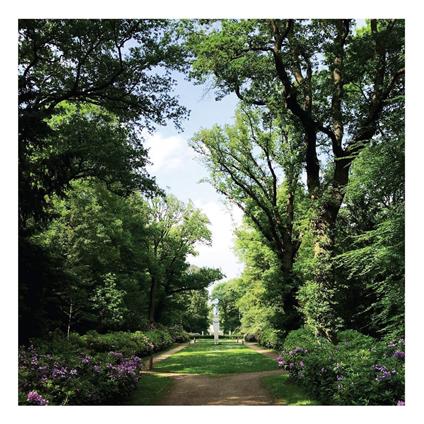 Haarlemmerhout - Vinile LP di Coen Oscar Polack