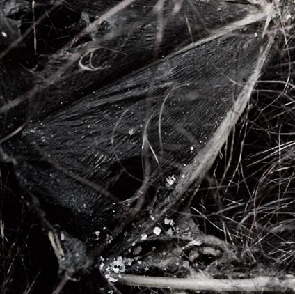 Dissociative Themes - CD Audio di Demonologists