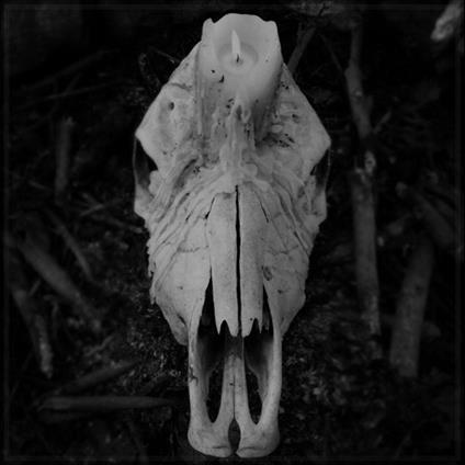 Cursed To Witness Life - Vinile LP di Worsen