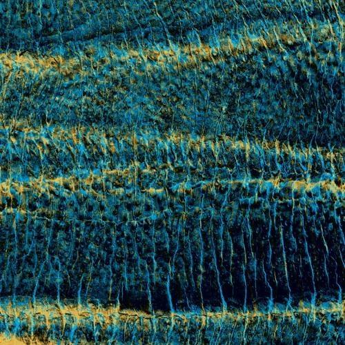 Misophonia Colours - CD Audio di Jarl