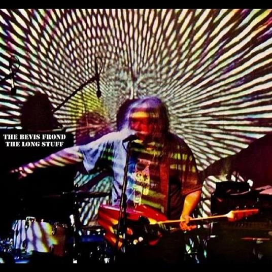 Long Stuff - Vinile LP di Bevis Frond