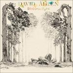 Hidden Light - Vinile LP di David Ahlen