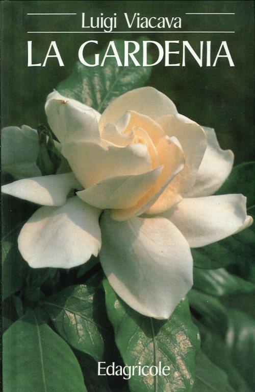 La gardenia - Luigi Viacava - copertina