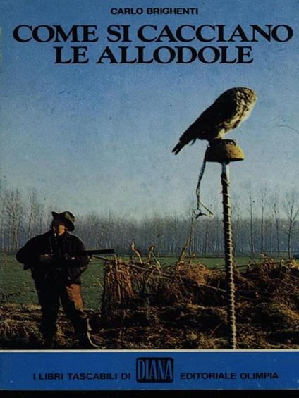 Brighenti. Come Si Cacciano Le Allodole. Olimpia (G4) - Carlo Brighenti - copertina