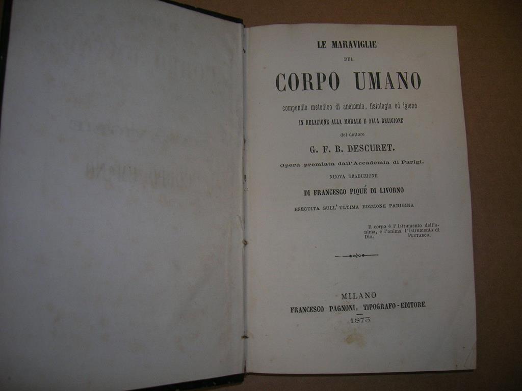 LIBRACCIO VINTAGE