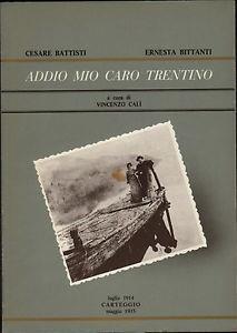Addio mio caro Trentino - Vincenzo Calì - copertina